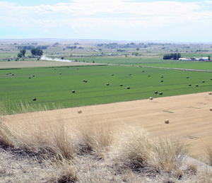 Farm in Billings Montana